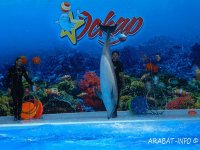 ������� 16 ���� ���������� �������� ����������� "�����" �� ���������� �������