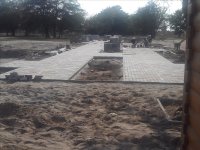 � �. ������������ ������������ ������������� �������� ����� ����������� (����)