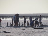 ������� ����� �� ���������� ������� � �. ����������!!!(���� � �����)