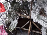 � ���������� ����, � 30 �� 31 ������� � �������� ���� ���-�� �� ������� ���� ������������ ������ ��� ������ ����� ����