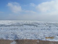30.01.2017 �������� ���� �� ���������� �������  �������� (���� � �����)
