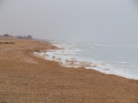 ���� ���!!! 04.02.2017 ��� ���� ���������� � ������ ������!!!(����)