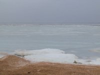 ���� ���!!! 04.02.2017 ��� ���� ���������� � ������ ������!!!(����)