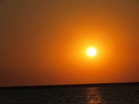 � �. ������������ ���������� ���������� �������� ������������ (���� � �����)