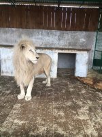 �� ���������� ������� � ������- ����� �������� ����� ��� (����)