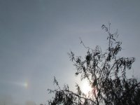 �� ���������� ������� ����� ���� ��������� ������ ������ ������(����)
