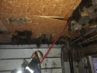 � ������ ���� ������ ���� ��������� ������ ����� �� ���������� ������� (����)
