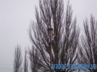 � �. ���������� �������� ����������� ������� (����)