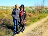 �� ���������� ������ �������� ��������� ������