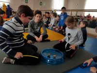 � ���������� � ������� ������ ������� ������������ �� ���������