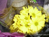 � 7 �� 8 ����� �  �. ������������  ����� ����������� ����� ��� ������ �� 8 �����!