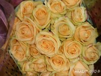 � 7 �� 8 ����� �  �. ������������  ����� ����������� ����� ��� ������ �� 8 �����!