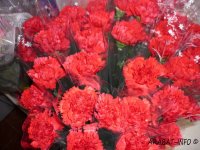 � 7 �� 8 ����� �  �. ������������  ����� ����������� ����� ��� ������ �� 8 �����!